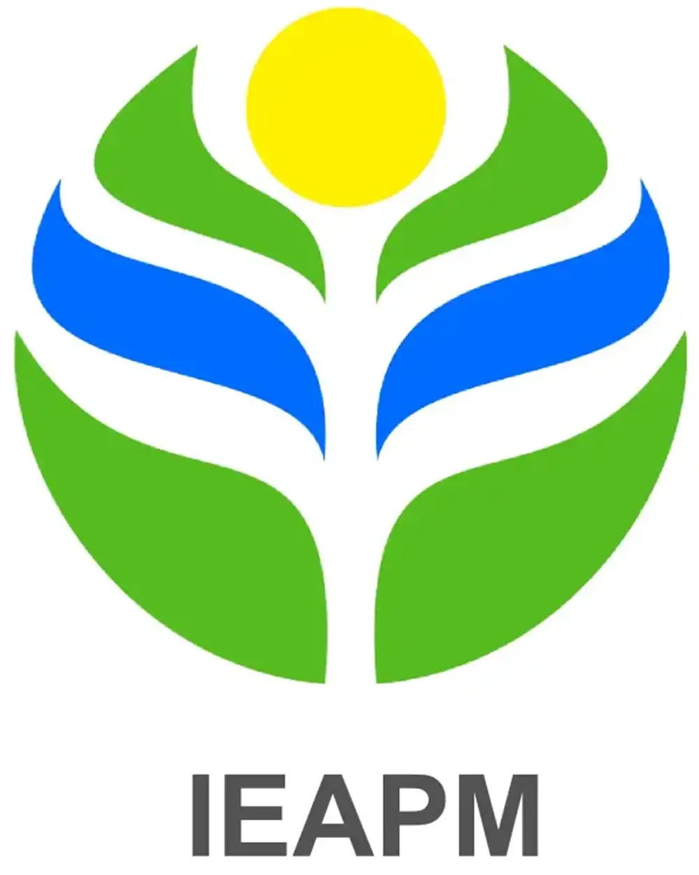 Logo IEAPM